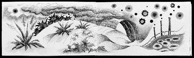 Wildlands Prairie Journal