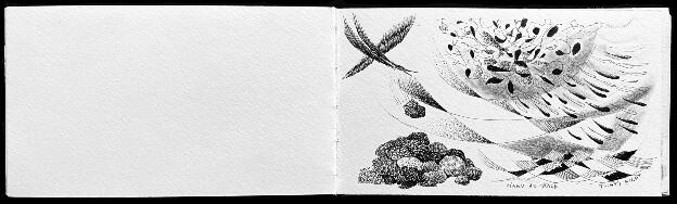 Wildlands Prairie Journal - Pages 9 & 10