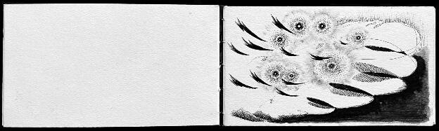 Wildlands Prairie Journal - Pages 11 & 12