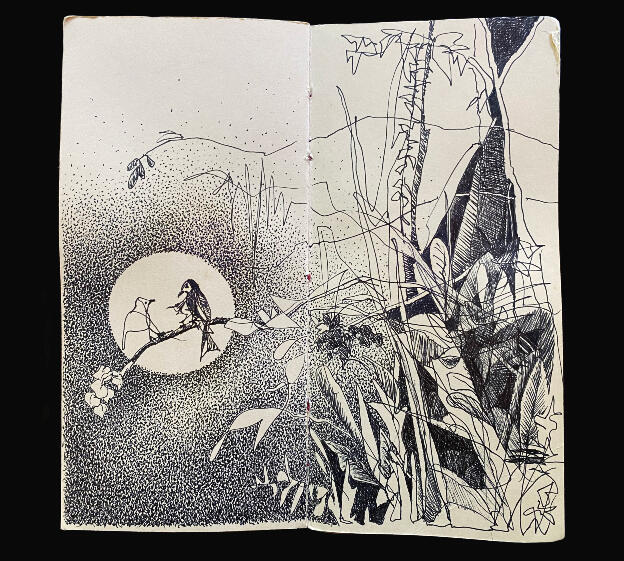 Big Wild - Pages 1 & 2
